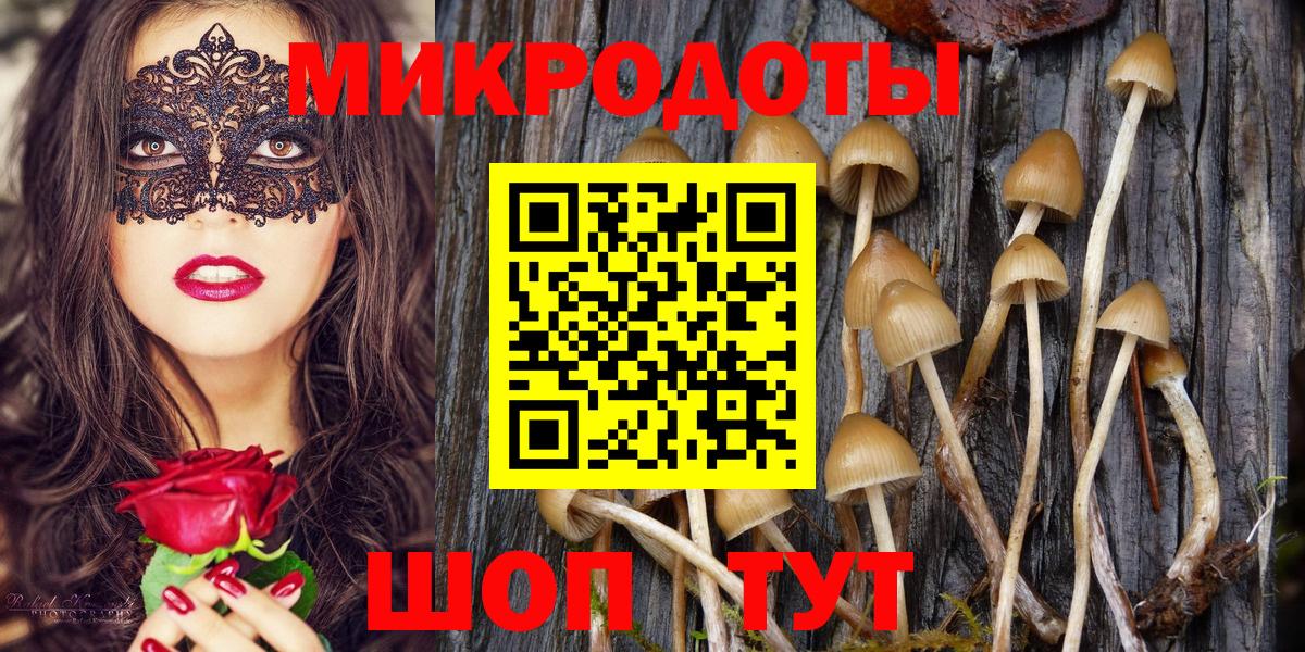 Саянск  сколько стоит  Вход с VPN  Галлюциногенные грибы Magic Shrooms 